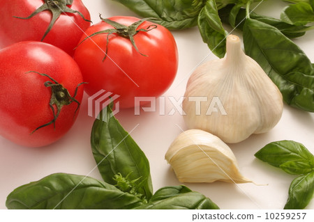 蕃茄蓬蒿Daisu意大利食品成分白色背景 10259257