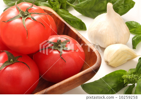 蕃茄蓬蒿Daisu意大利食品成分白色背景 10259258