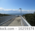 Road to the sea 10259374