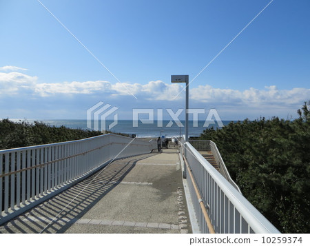 通往大海的道路 通往大海的道路 10259374