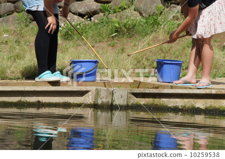 小龍蝦釣魚 10259538
