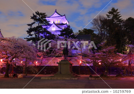 Ogaki castle Yozakura 2014 10259769