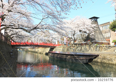 Sumiyoshi Lighthouse Sakura 2014 10259776