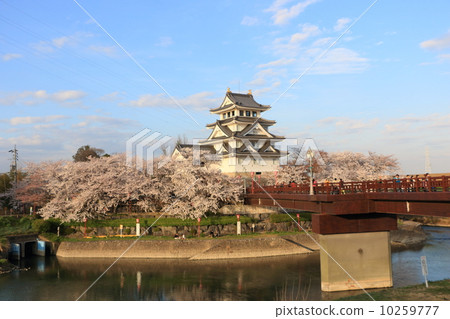 城堡和櫻花 10259777