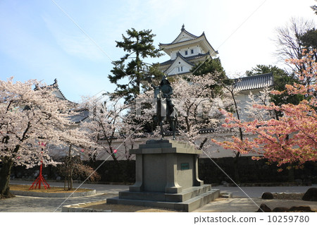 Ogaki castle and cherry blossoms 10259780