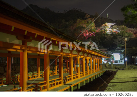 宮島嚴島神社走廊和Tago塔的夜景 宮島嚴島神社走廊和Tago塔的夜景 10260283