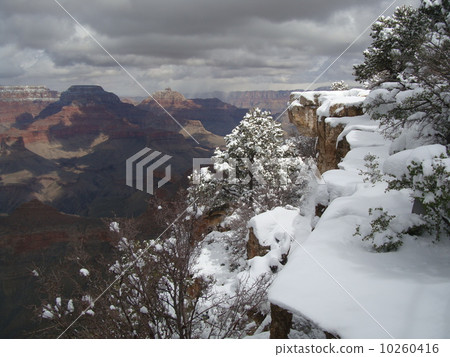 Grand Conyon Cover with Snow 10260416