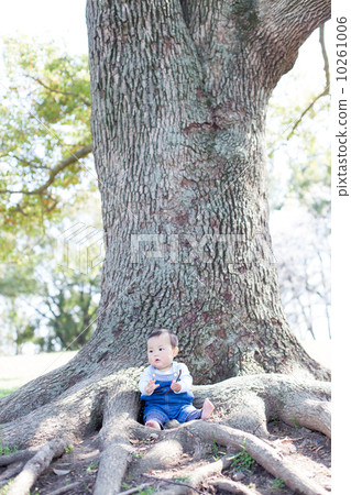 7 months old baby and big tree 10261006