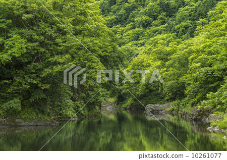 Green valley 10261077