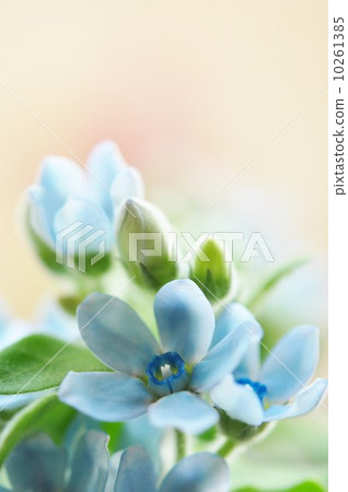 Blue Star Blue Star 10261385