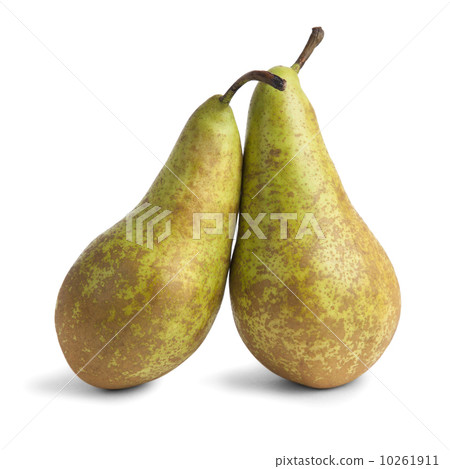 two pears  10261911
