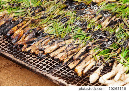 grilled calsot grilled calsot 10263136