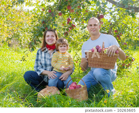 Happy family with apple harvest Happy family with apple harvest 10263605