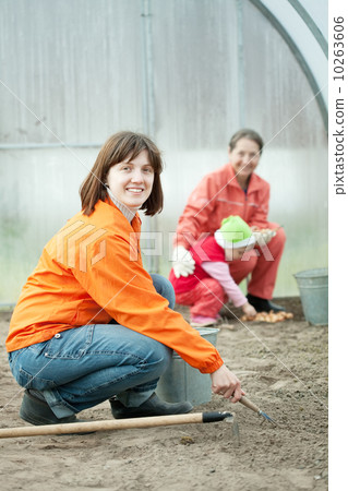 family works in greenhouse family works in greenhouse 10263606