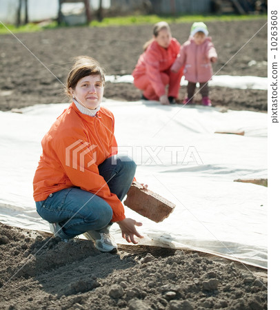 women covers soil a polyethylene film women covers soil a polyethylene film 10263608