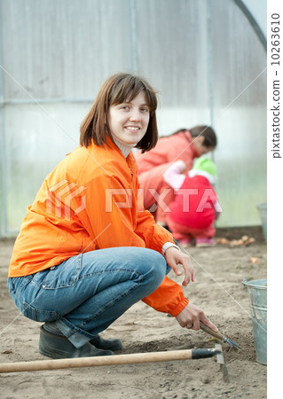 family works in greenhouse family works in greenhouse 10263610