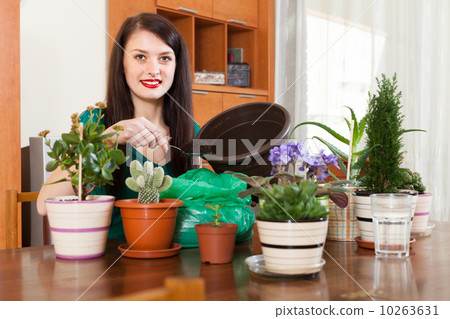 woman transplanting flowers plant in flowerpot 10263631