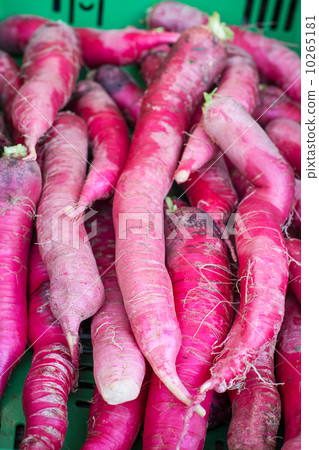 Fresh healthy bio radish on  farmer market 10265181