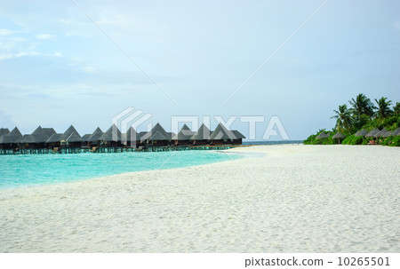 Tropical Maldivian island in Indian ocean 10265501