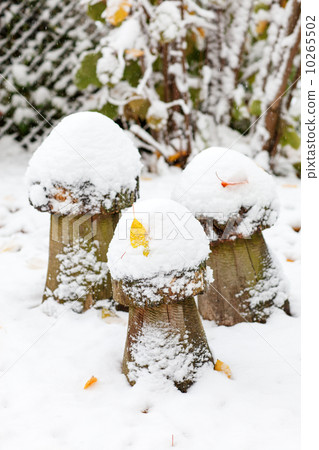 Wooden mushroom decoration during snowfall in winter garden. 10265502