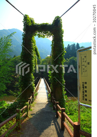 Love Bridge • Summer 10270845
