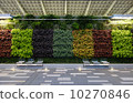 Tokyo station walls greening and benches 10270846