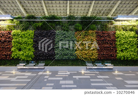 東京站牆綠化和長凳 東京站牆綠化和長凳 10270846