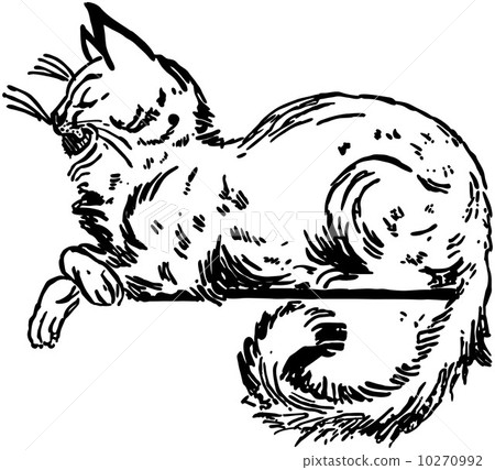 Cat Sitting On Ledge Cat Sitting On Ledge 10270992