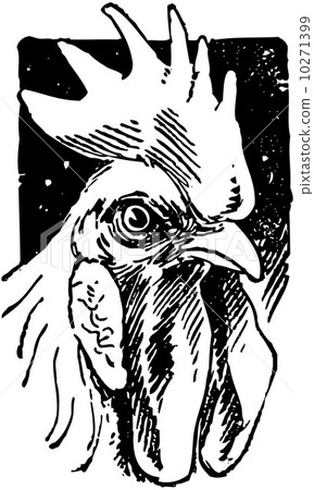 Handsome Rooster 10271399