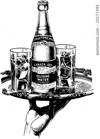 Canada Dry Quinine Water 10271493