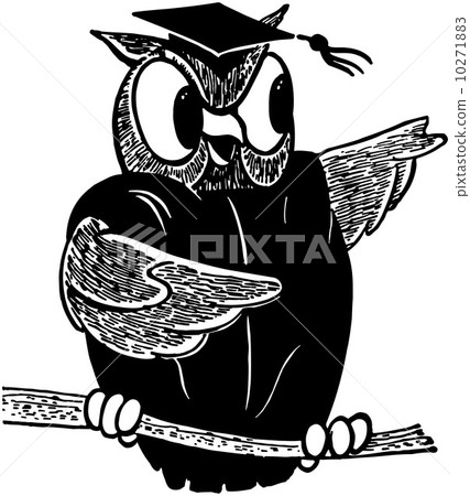 Wise Old Owl 10271883