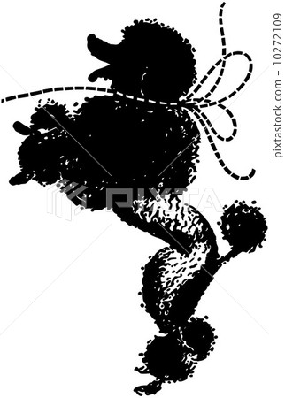 Poodle Begging Poodle Begging 10272109