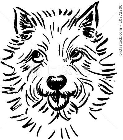 Little White Dog 10272200