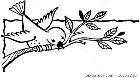 Bird On Branch 10272210
