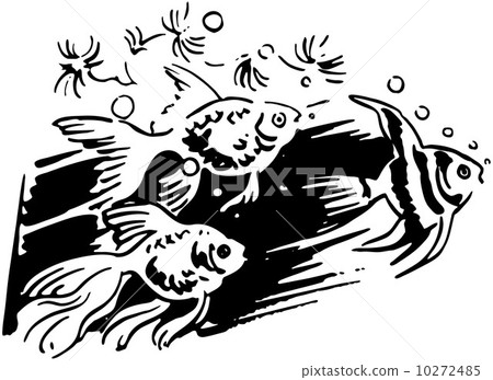 Group Of Fish 10272485