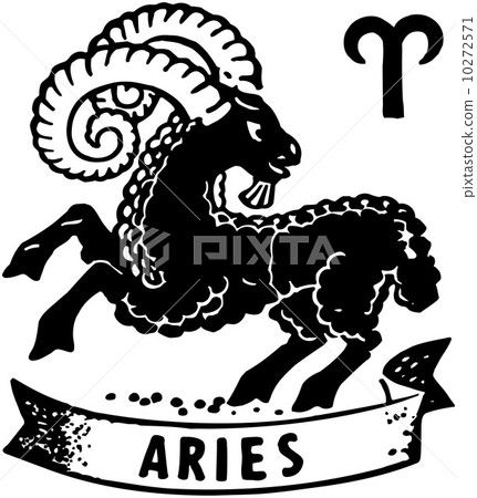 Aries 10272571