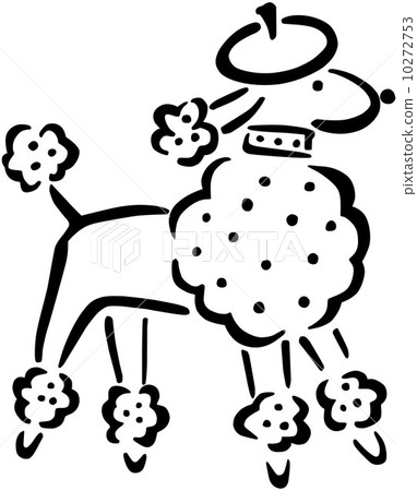 French Poodle French Poodle 10272753