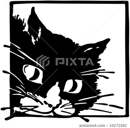 Peeking Kittycat 10272882