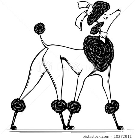 Ritzy Poodle Ritzy Poodle 10272911
