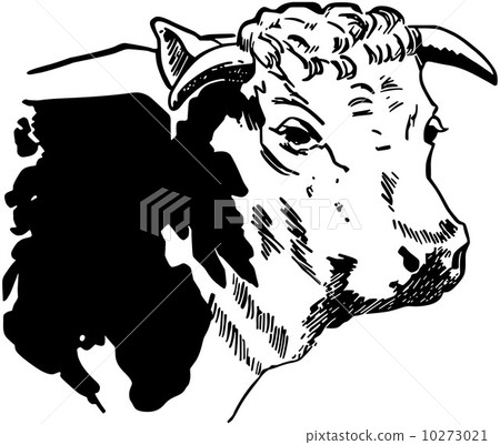 Cow 3 10273021
