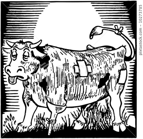 Bum Steer 10273785