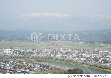 Okawara 10274242