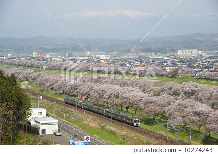大河原 10274243