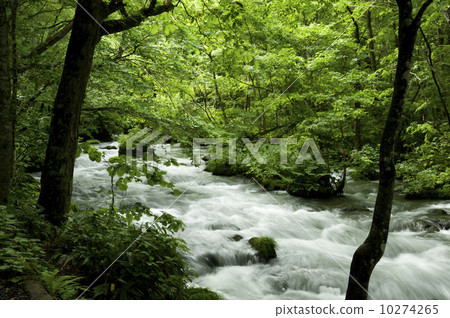 Oirase stream 10274265