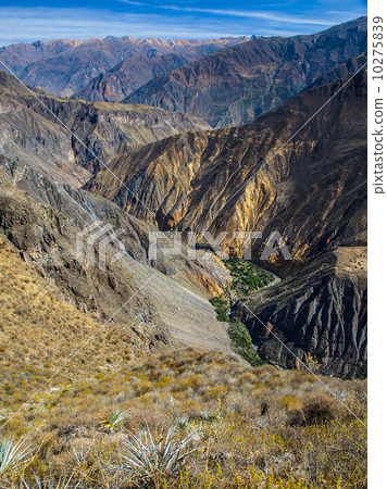 Colca Canyon 10275839