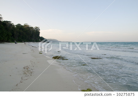 The coast of Andaman Islands and Havelock Island 10275875