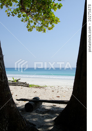 The coast of Andaman Islands and Havelock Island The coast of Andaman Islands and Havelock Island 10275878