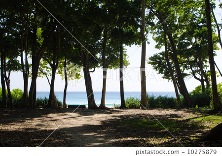 The coast of Andaman Islands and Havelock Island 10275879