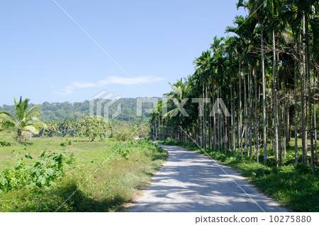 Andaman Islands · Havelock Island 10275880