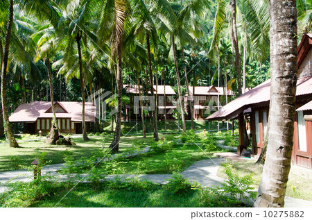 Cottages in the Andaman Islands and Havelock Island Cottages in the Andaman Islands and Havelock Island 10275882